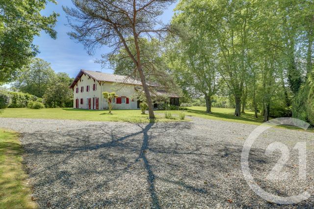 maison à vendre - 11 pièces - 328.9 m2 - ST MARTIN DE HINX - 40 - AQUITAINE - Century 21 Berritzea