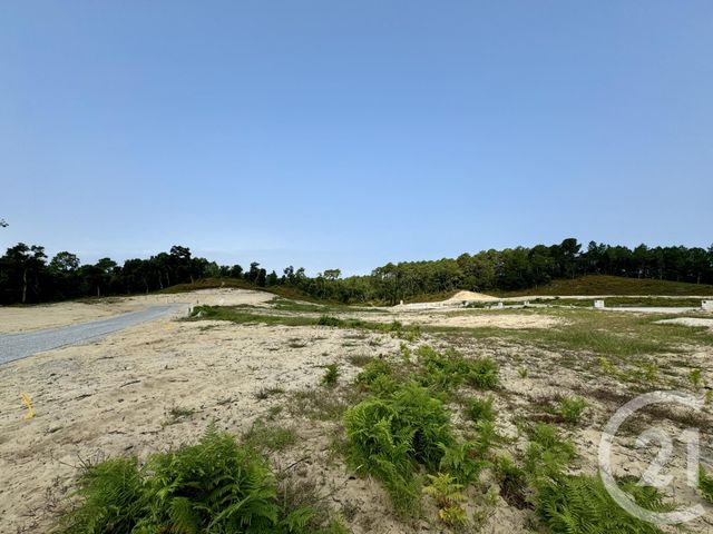 terrain à vendre - 453.0 m2 - LABENNE - 40 - AQUITAINE - Century 21 Berritzea
