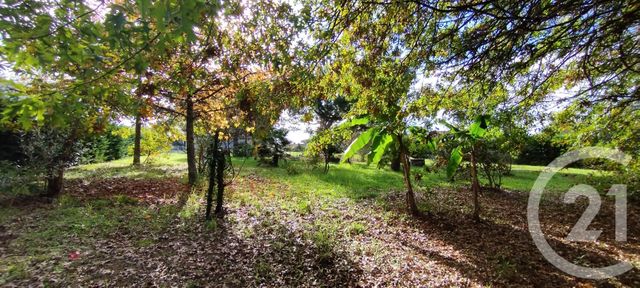 maison à vendre - 8 pièces - 135.0 m2 - ST GEOURS DE MAREMNE - 40 - AQUITAINE - Century 21 Berritzea