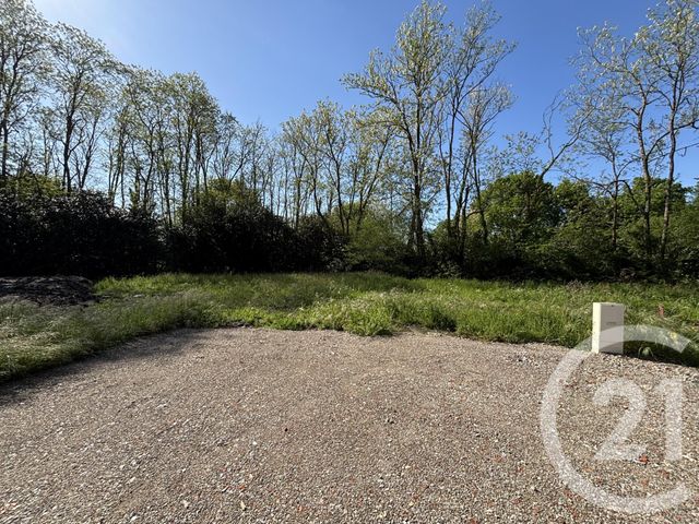 terrain à vendre - 643.0 m2 - ST VINCENT DE TYROSSE - 40 - AQUITAINE - Century 21 Berritzea