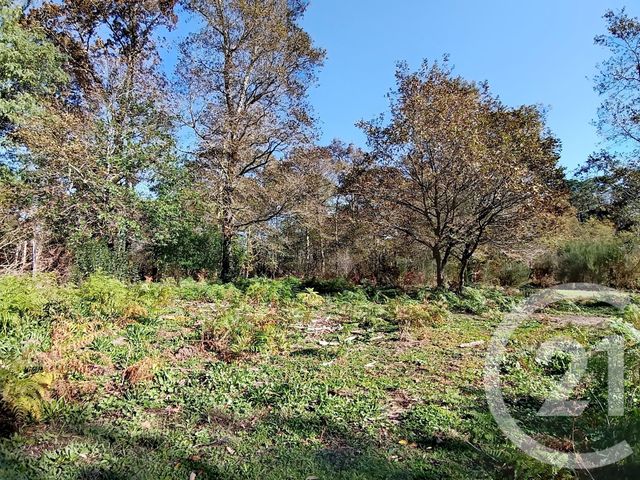 Terrain à vendre ST GEOURS DE MAREMNE