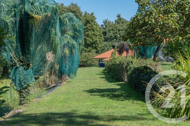 maison à vendre - 7 pièces - 217.0 m2 - BENESSE MAREMNE - 40 - AQUITAINE - Century 21 Berritzea