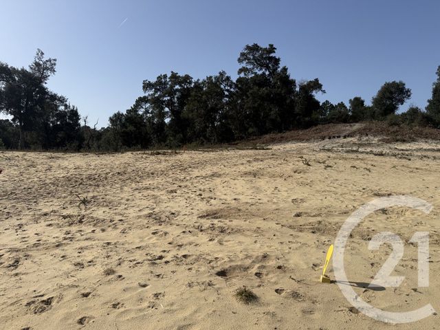 terrain à vendre - 840.0 m2 - LABENNE - 40 - AQUITAINE - Century 21 Berritzea