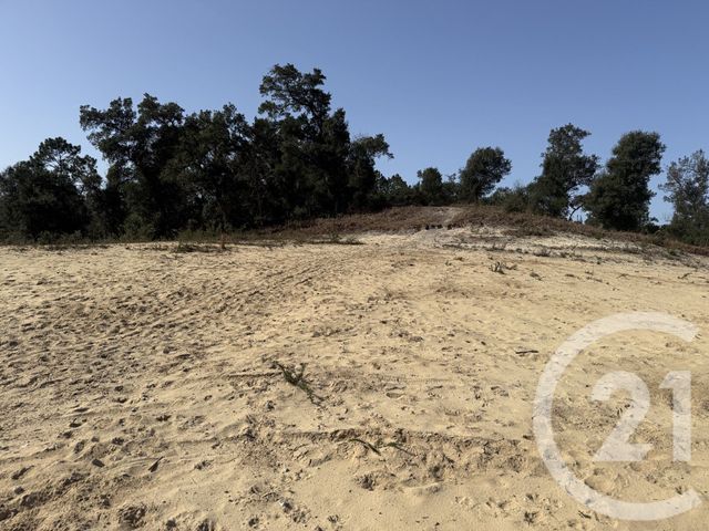 Terrain à vendre LABENNE