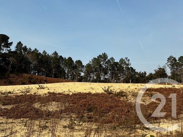 terrain à vendre - 645.0 m2 - LABENNE - 40 - AQUITAINE - Century 21 Berritzea
