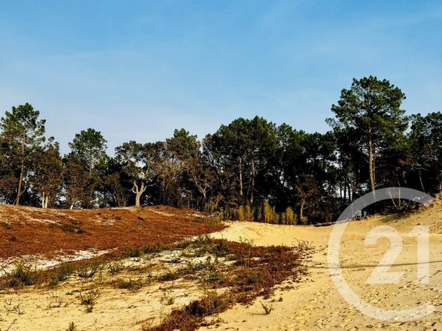 terrain à vendre - 645.0 m2 - LABENNE - 40 - AQUITAINE - Century 21 Berritzea